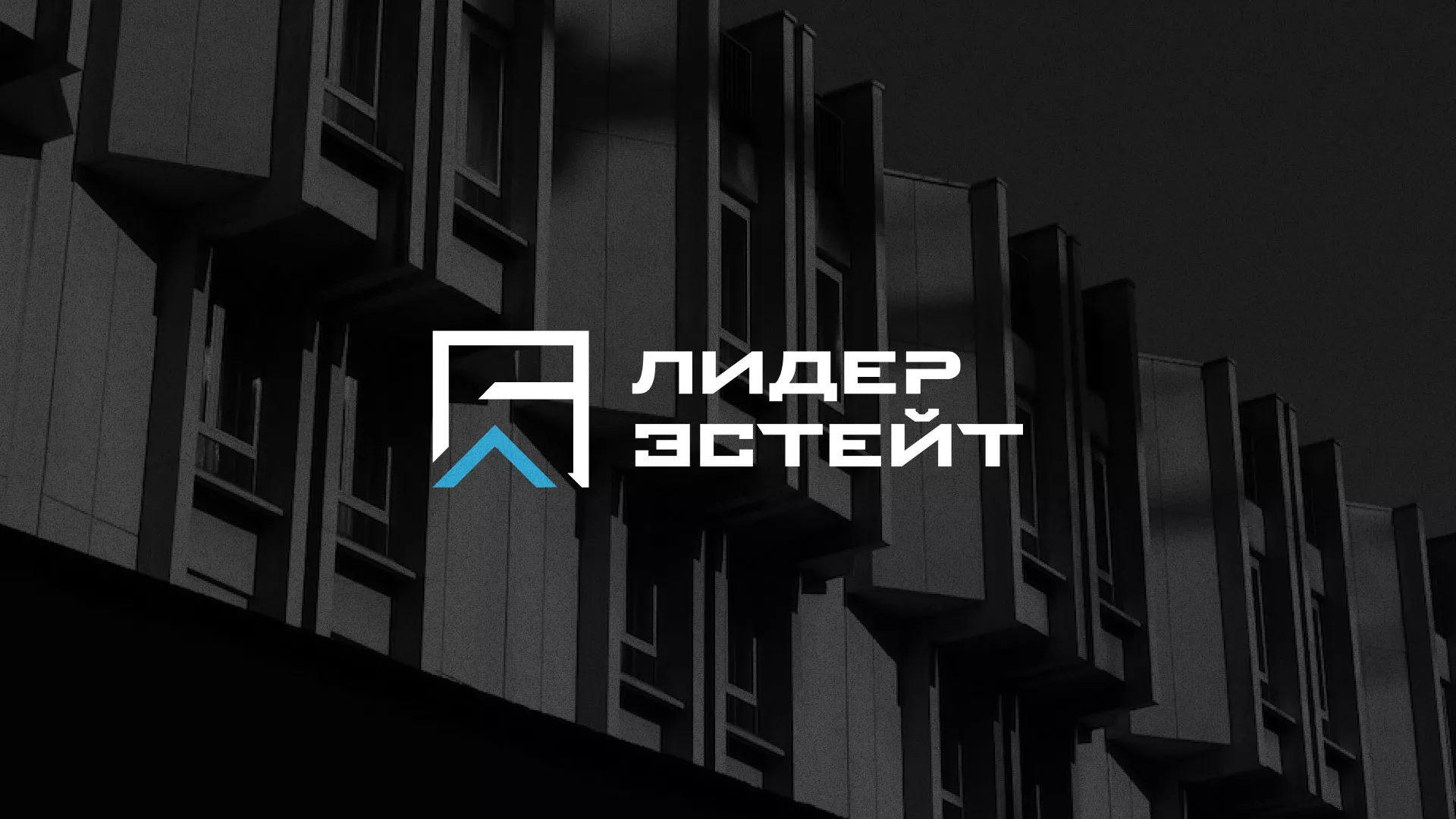 Разработка логотипа агентства недвижимости «Лидер Эстейт» в Вязьме